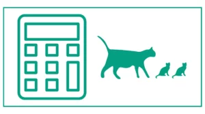 Cat gestation and pregnancy calculator